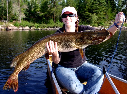 Northern Pike